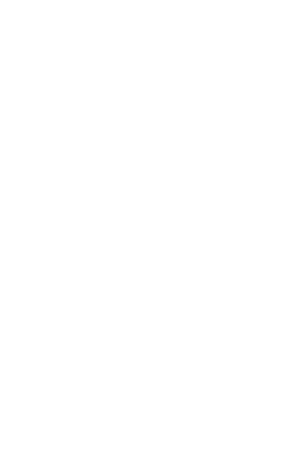 The BowTie Billionaire 